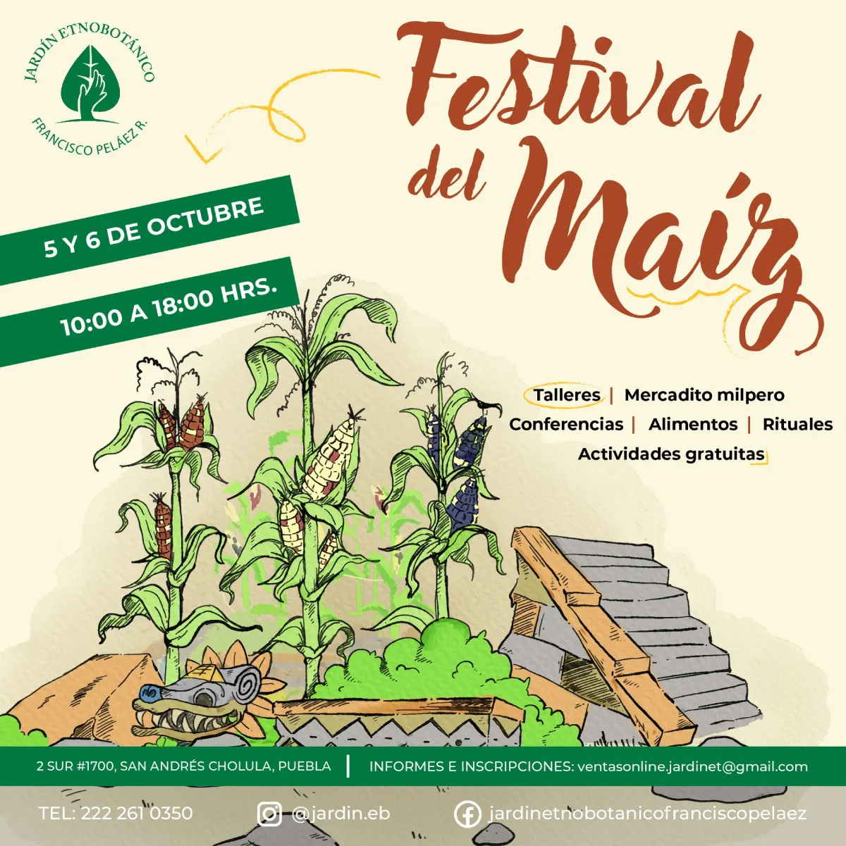Festival del Maíz