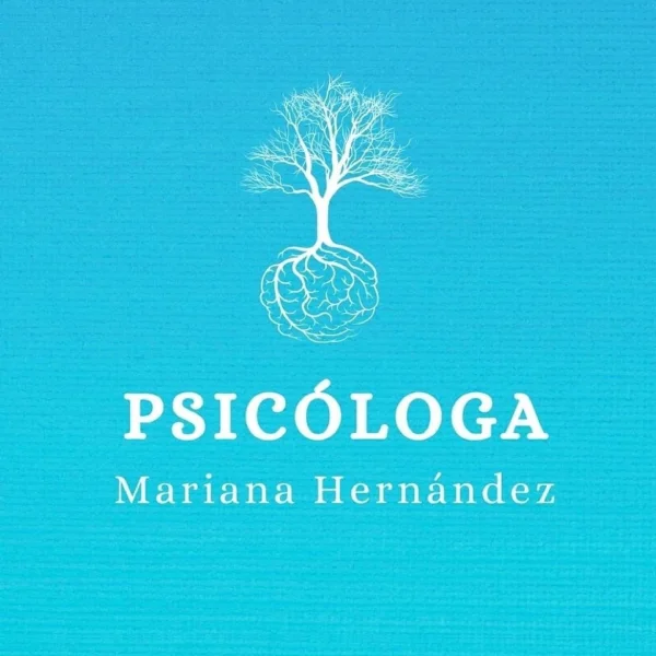 Psicóloga Mariana Hernández Los Héroes Puebla